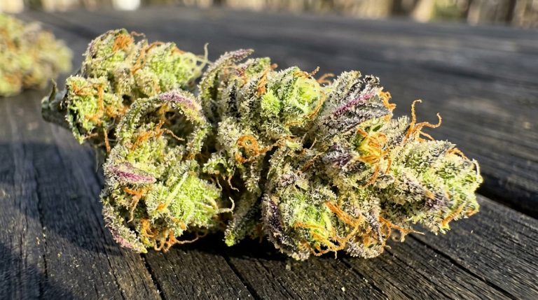 Acapulco Gold strain review