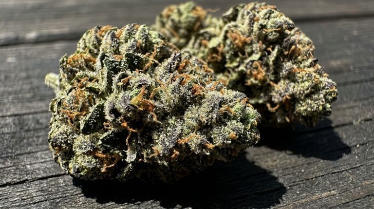 Watermelon Kush strain review